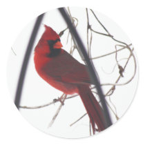 Male cardinal in snow 11 stickers