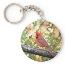 MALE CARDINAL keychains