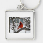 Male Cardinal Keychains