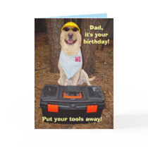 Male/Dad Funny Birthday cards