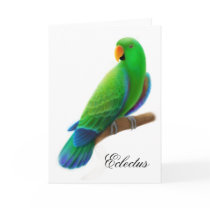 Male Eclectus Parrot Greeting Card