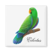 Male Eclectus Parrot Magnet by twopurringcats Male Eclectus Parrot Magnet