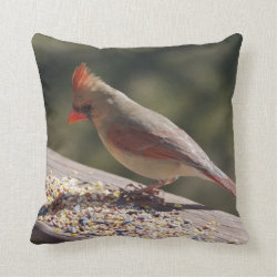 Male/Female Cardinal Pillow