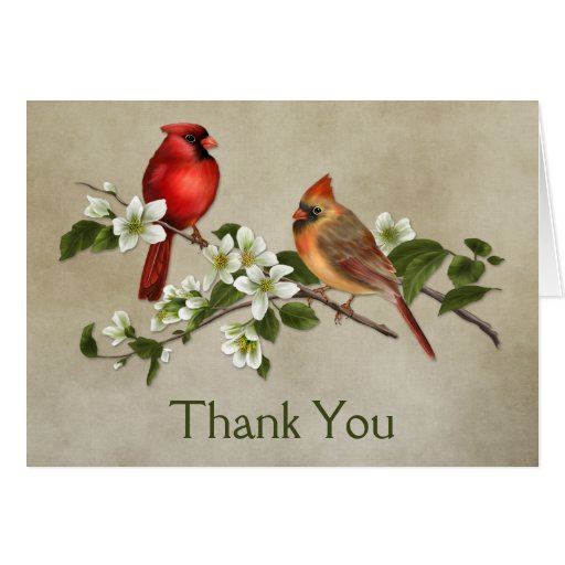 Male Female Cardinals Dogwoods Thank You Note Card Zazzle