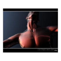 Male Free (Lava) posters