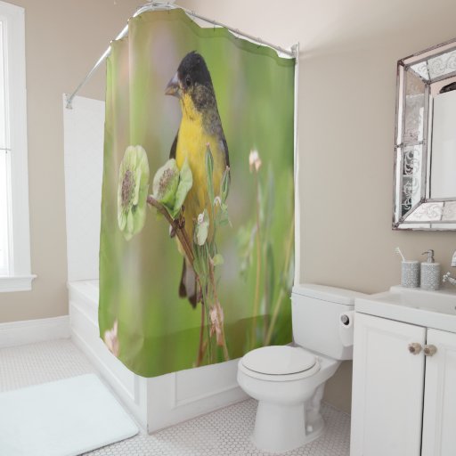 Male Goldfinch Shower Curtain | Zazzle