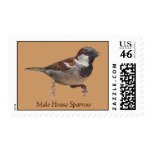 Male House Sparrow Stamp