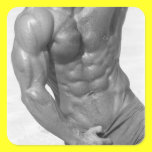 Male Hunk Sticker stickers