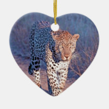 Male Leopard Ornament