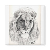 male lion magnets