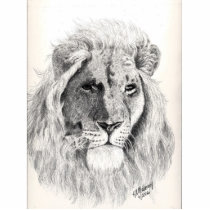 Male Lion Photo Sculpture photo sculptures by kmullarney Male Lion Photo Sculpture photo sculptures