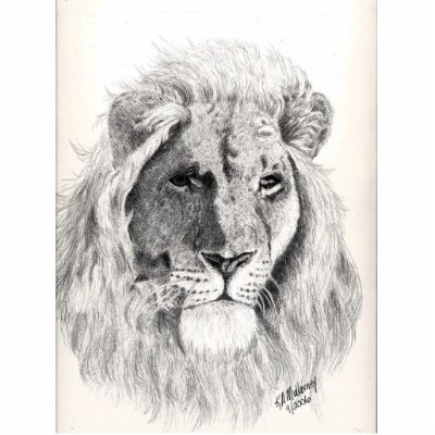 Male Lion Photo Sculpture by kmullarney