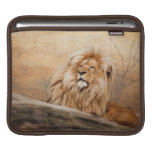 Male Lion Photo Sleeve For iPads