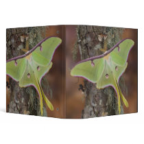 Male Luna Silk Moth of North American 3 Ring Binders