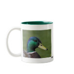 Male Mallard Duck mugs