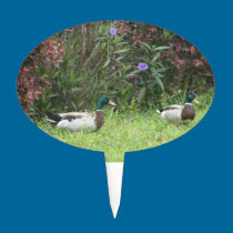 Male Mallard Ducks Cake Pick cake picks