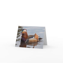 Male Mandarin Duck Notecard