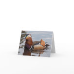 Male Mandarin Duck Notecard