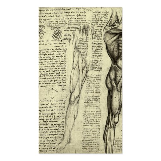 Male Muscle Anatomy Sketch by Leonardo da Vinci Business Card Templates (back side)