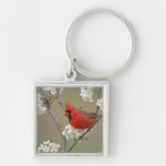 Male Northern Cardinal among pear tree Keychains