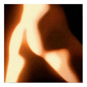 Male Nude Buttocks posters