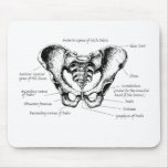 Male Pelvis Details Mouse Pads