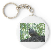 male quail keychains