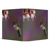 Male Ruby throated Hummingbird, Archilochus 2 Vinyl Binders