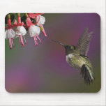 Male Ruby throated Hummingbird, Archilochus 2 Mousepads
