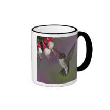 Male Ruby throated Hummingbird, Archilochus Mug