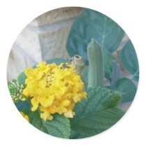 Male "Skeeter" on Lantana stickers by codfishlady Male "Skeeter" on Lantana stickers