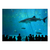 Male Whale Shark at Georgia Aquarium Greeting Card