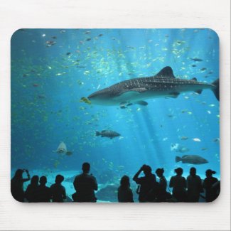 Male Whale Shark Mouse Pads