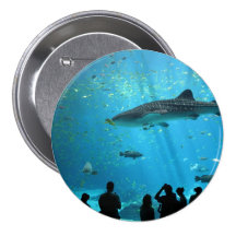 Male Whale Shark Pinback Button