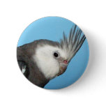 Male Whiteface Cockatiel Pin