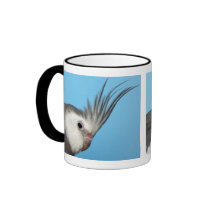 Male Whiteface Cockatiel Coffee Mugs