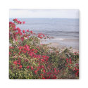 Malibu magnets by DonnaGrayson_Photos Malibu magnets