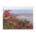 Malibu postcards
