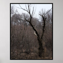 Malificent Tree Poster