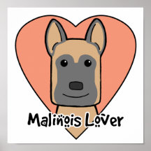 Malinois Lover Poster
