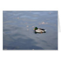 Mallard Blur card by serenity_ii Mallard Blur card
