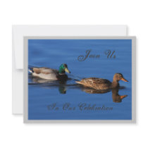Mallard Couple invitations