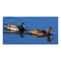 Mallard Couple Personalized Photo Card