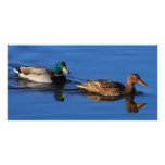 Mallard Couple Personalized Photo Card