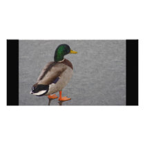Mallard Digital Oil Painting Customized Photo Card