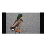 Mallard Digital Oil Painting Customized Photo Card