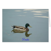 Mallard Drake cards