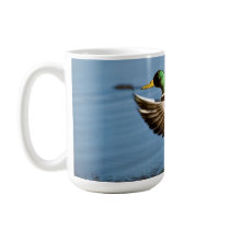 Mallard Drake Duck Mugs