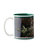 MALLARD DRAKE mugs