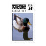 Mallard Drake Postage
